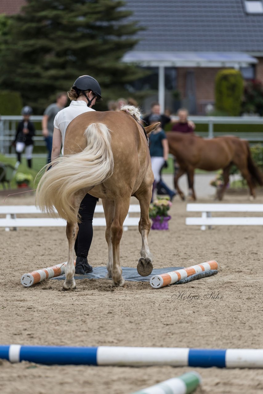 Bild 13 - Pony Akademie Turnier